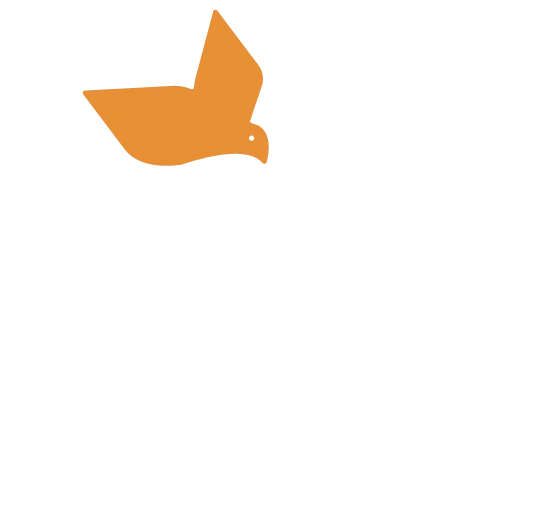 Logo Reportes PIC